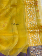 Light Pista Green Pure Ektara Banarasi Kora Jamdani Saree