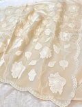 Fruity Cream Mango Silk Partywear Banarasi Embroidery Applique work Lightweight Sarees