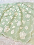 Fruity Green Mango Silk Partywear Banarasi Embroidery Applique work Lightweight Sarees